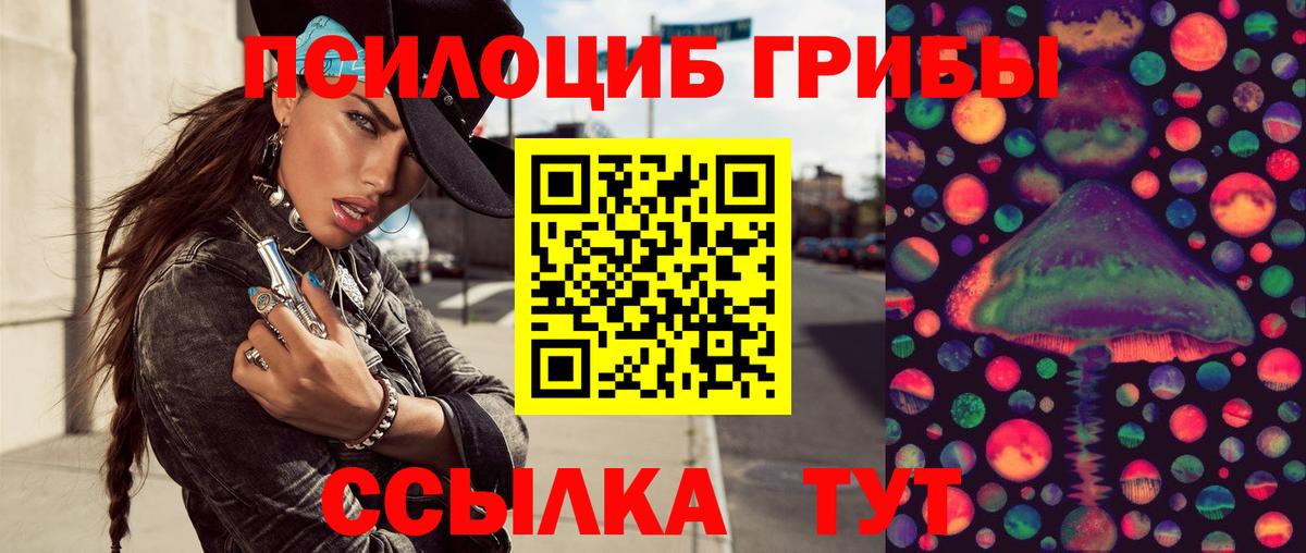 Псилоцибиновые грибы мицелий Новочеркасск