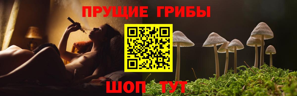 Псилоцибиновые грибы мицелий  сколько стоит  Вход с VPN  Новочеркасск  Галлюциногенные грибы мухоморы 