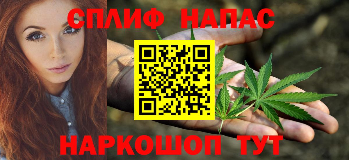 Бошки марихуана сатива Новочеркасск